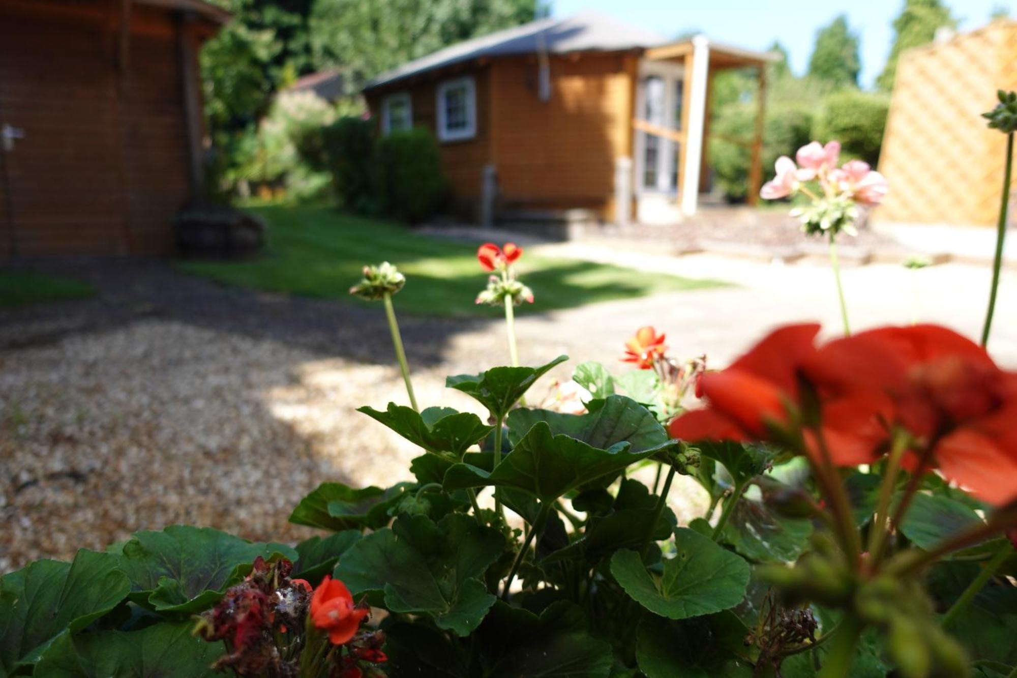 Huge 9 Bed Property Sleeps 17, Near Nec, City Centre, Hs2 Бирмингем Экстерьер фото